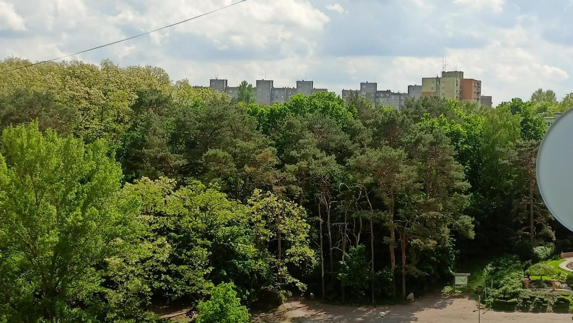 Drzewna Apartamenty - Wladyslawa Zielona Gora  Exterior photo